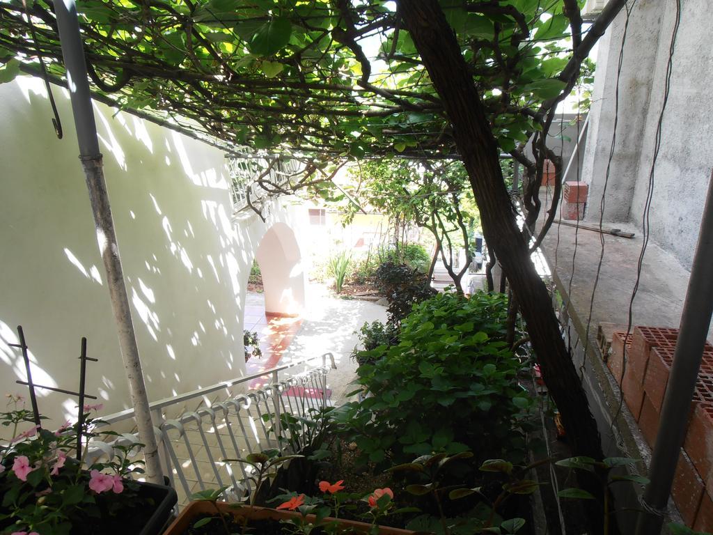 Apartmani Zeljko Vujovic Budva Luaran gambar